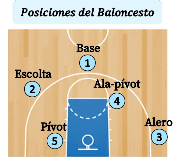 comentarista medallista amplio El escolta (baloncesto): funciones, características, jugadores,...