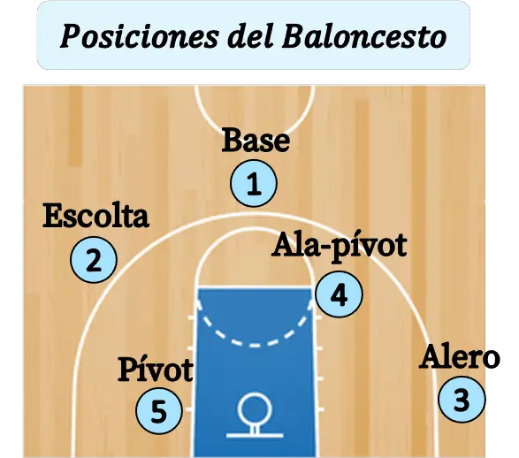 posiciones en el baloncesto